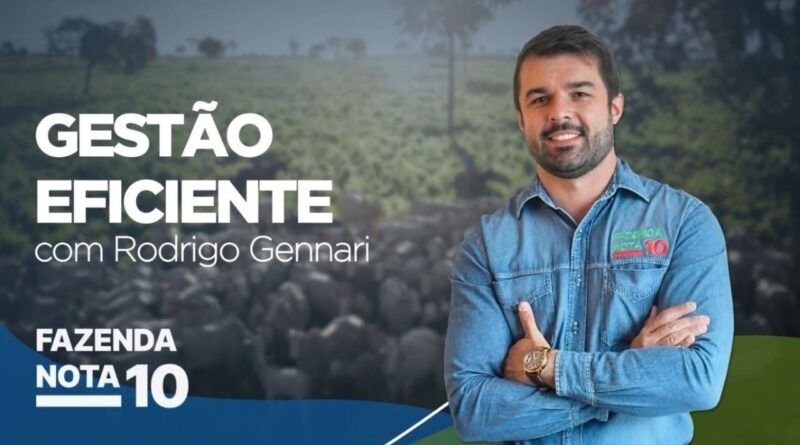 Como reduzir custos na pecuária sem comprometer a produtividade