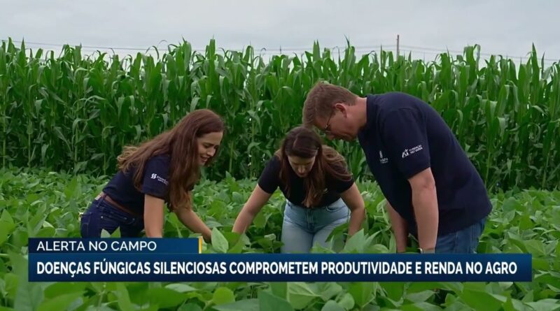 Doenças fúngicas silenciosas afetam produtividade no agro