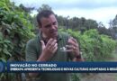 Embrapa Cerrados apresenta inovações em cultivo sustentável
