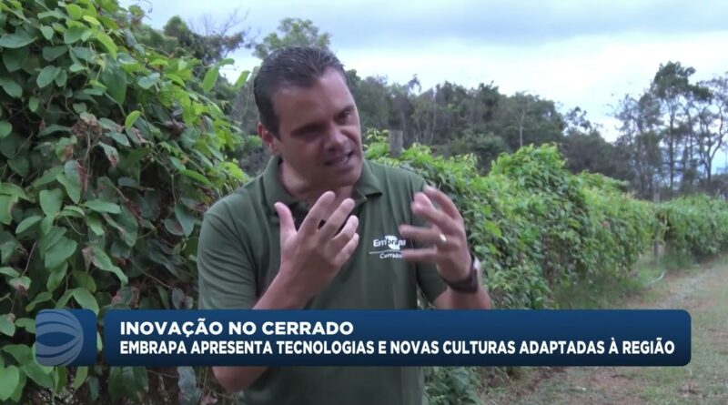 Embrapa Cerrados apresenta inovações em cultivo sustentável