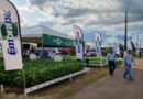Embrapa apresenta inovações e lançamentos na TecnoShow 2026