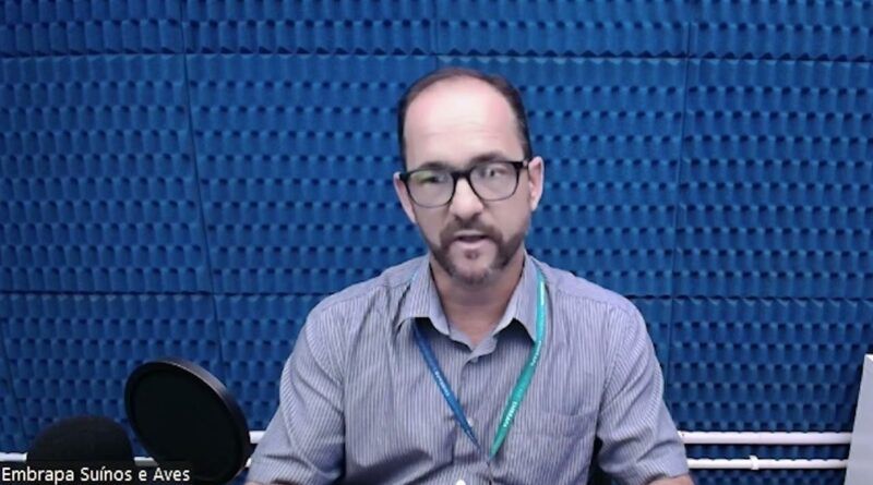 Embrapa cria técnica sustentável para compostagem de carcaças