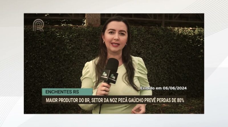 Enchentes de 2024 causaram perdas significativas na produção de noz-pecã no Rio Grande do Sul