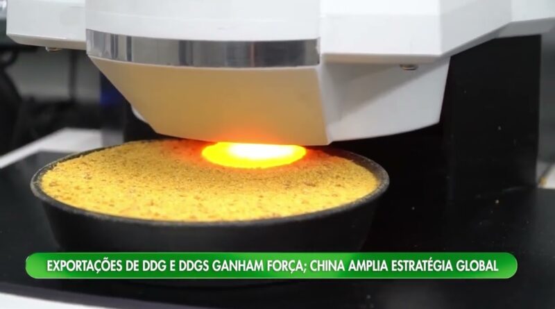 Exportações de DDG e DDGS brasileiros crescem com China