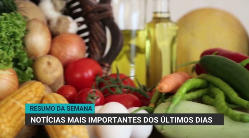 Exportações de carne bovina de Mato Grosso crescem mais de 50%