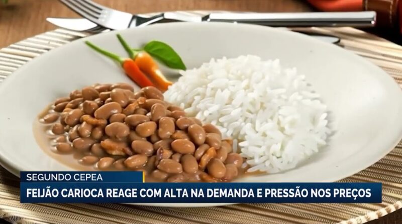 Feijão carioca tem alta na demanda e pressão nos preços