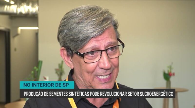 Inaugurada unidade de produção de sementes sintéticas de cana