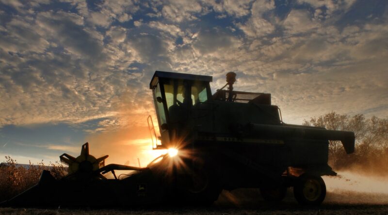 máquina, colheitadeira