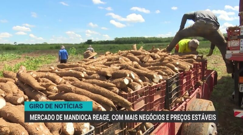 Mato Grosso bate recorde na exportação de carne bovina em 2026