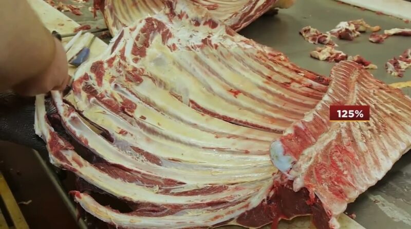 Mato Grosso do Sul registra crescimento no abate de frangos e recorde em exportações suinícolas