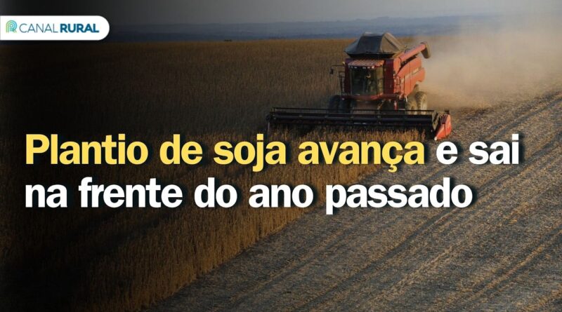 Plantio de soja nos EUA avança 20% e supera ano anterior