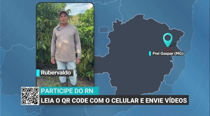 Previsão do tempo favorece colheita de café em Minas Gerais