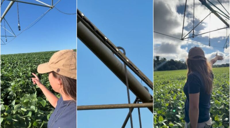 Produtora Maria Eduarda - roubo de cabos de pivô