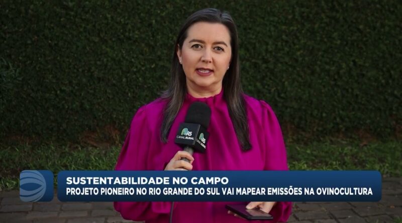 Projeto no Rio Grande do Sul mapeia emissões na ovinocultura