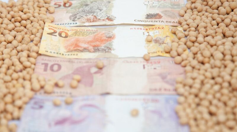 preço soja cotação
