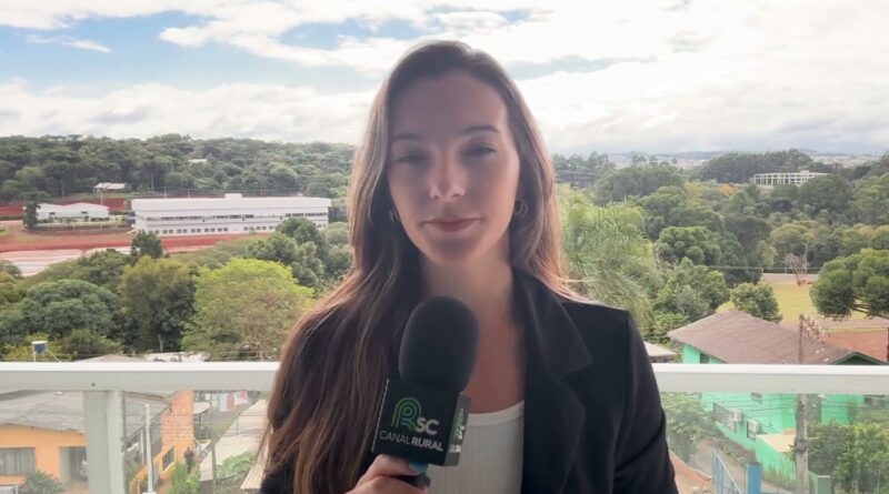 Santa Catarina lidera abate de suínos com 70% do total