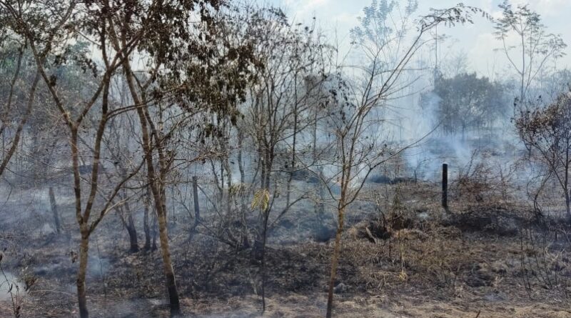 Focos de incêndio no Acre