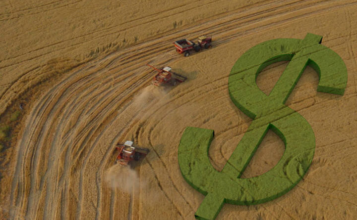 crédito rural, preços, pib, commodities, crescimento no PIB, dinheiro, desenvolvimento, mercado brasileiro, plano safra, crédito rural, PIB do agronegócio, plano safra, moderfrota, fiagro