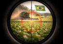 Foto mostra o agro brasileiro na mira