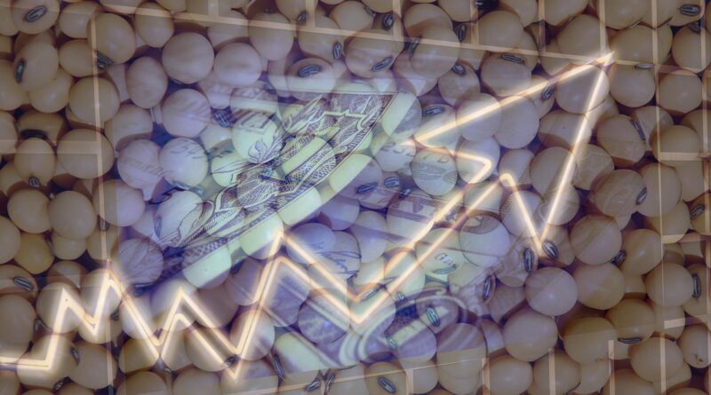 soja preço cotação pib Chicago dólar