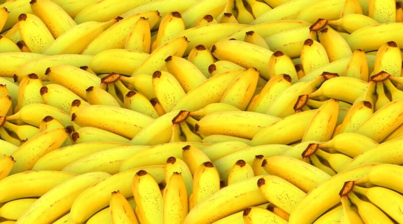 banana_naestrada5