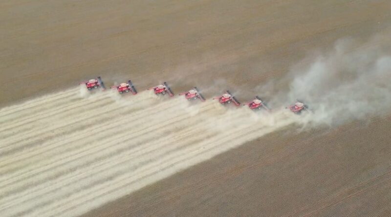 ‘A produção de soja deve ficar abaixo do esperado. O motivo? Excesso de chuvas’, diz presidente da Aprosoja MA