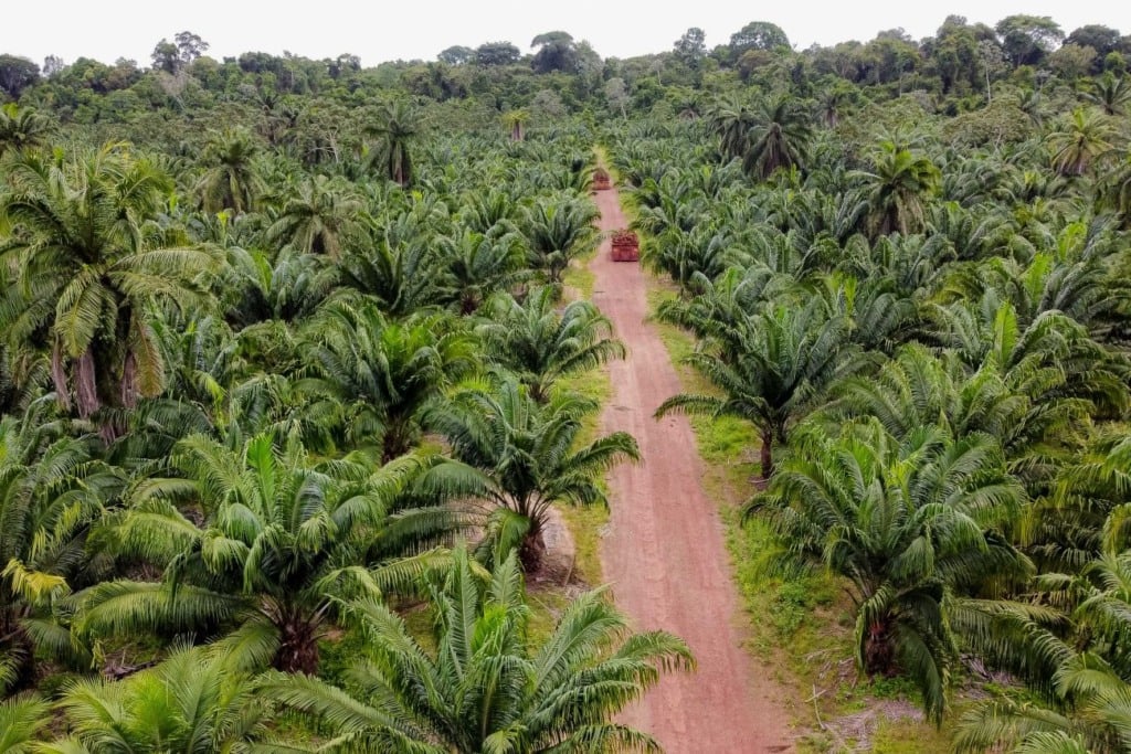 Dendê