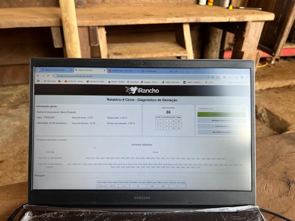 Gestão na pecuária; Matopiba; tecnologia,