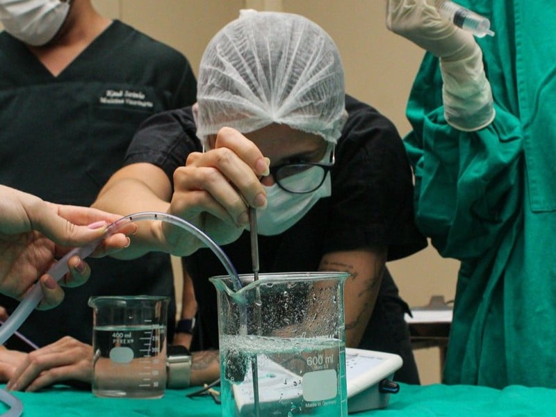 cirurgia em peixe