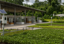 Embrapa e parceiros levam Agro Summit Amazônia à Rondônia Rural Show