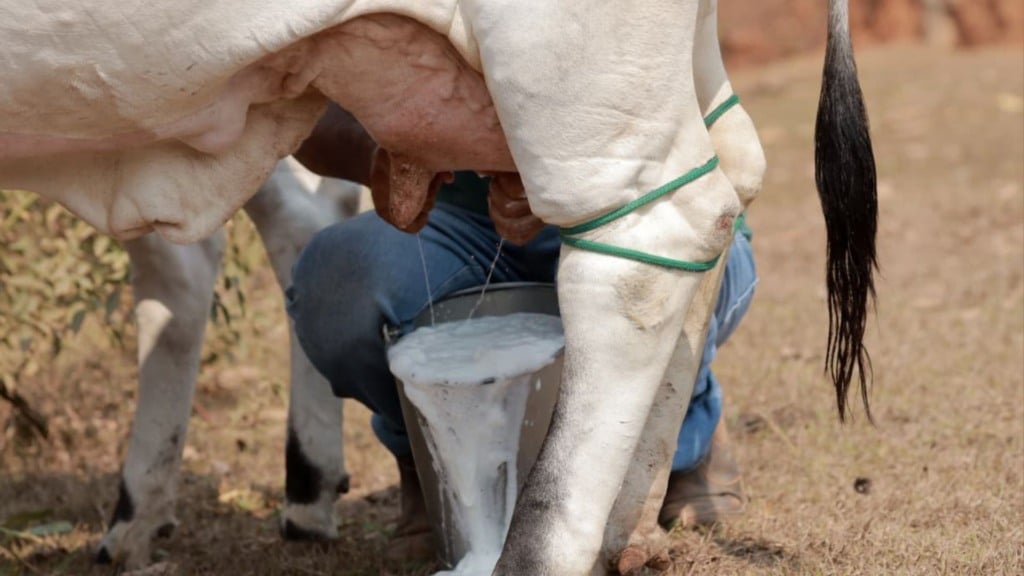 Foto: Divulgação.