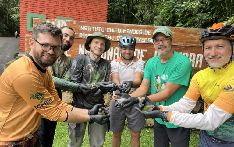 periquito-cara-suja equipe ICMBio