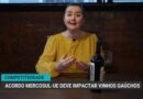 Acordo Mercosul-União Europeia pode impactar vinhos gaúchos
