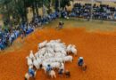 Foto: Divulgação.
