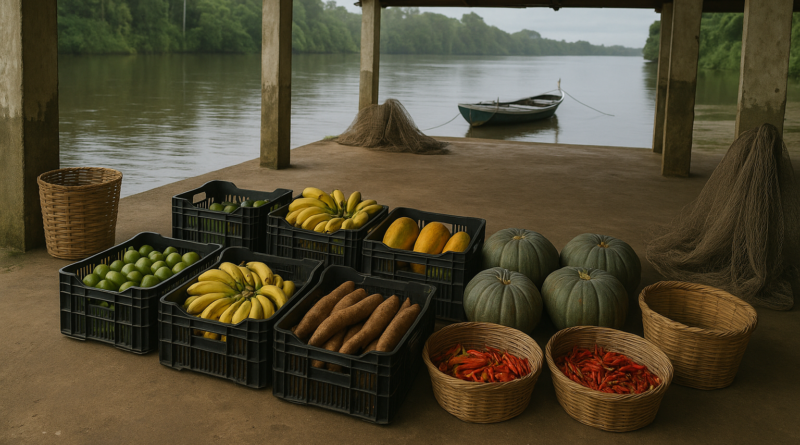 Associação de pescadores de Mocajuba faz primeira entrega ao PAA no Pará