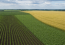 USDA informa avanço do plantio de milho e soja nos Estados Unidos