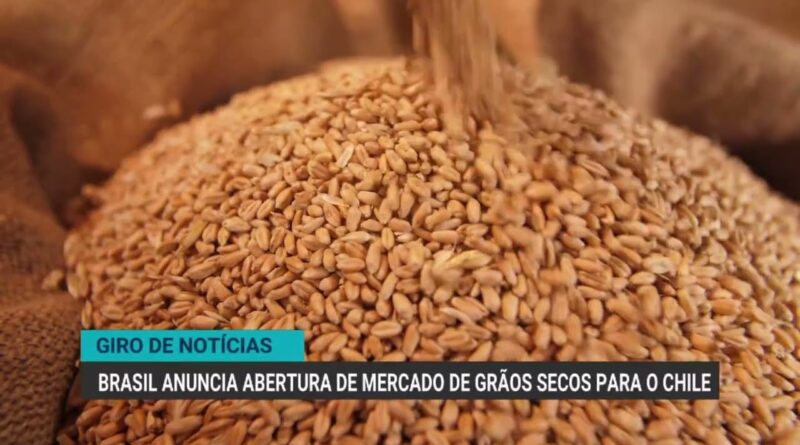 Brasil abre mercado de grãos secos para exportação ao Chile