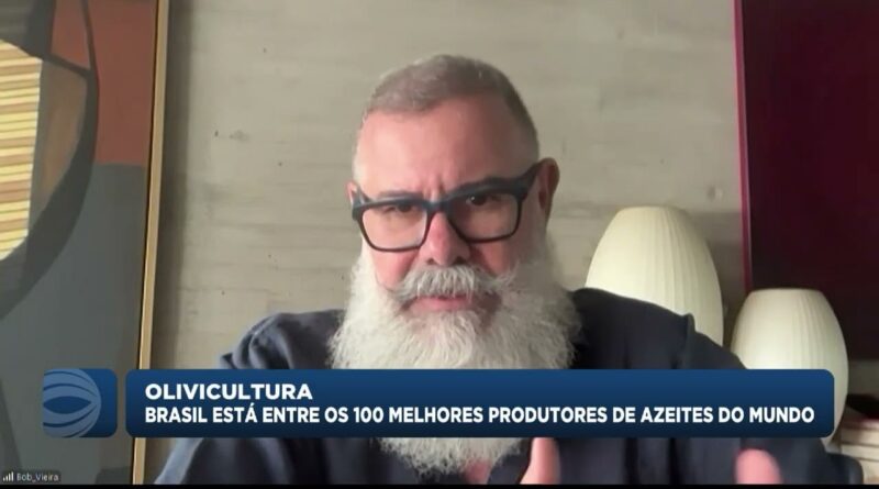 Brasil é reconhecido entre os 100 melhores produtores de azeite do mundo
