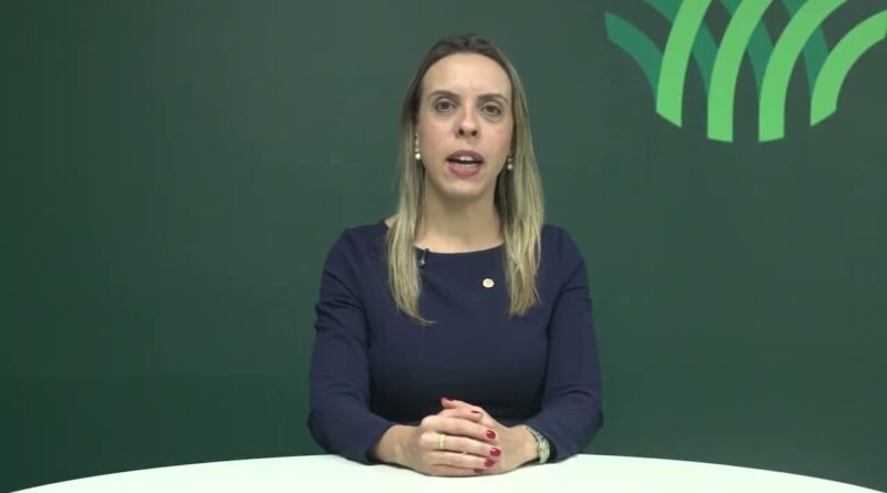 Café deve ser a terceira principal cultura no VBP em 2026, aponta CNA