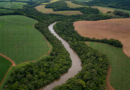 Câmara analisa recurso sobre projeto que altera regularização do Código Florestal