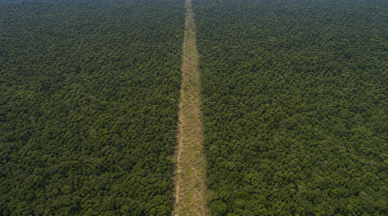 Câmara analisa urgência para projeto sobre Flona do Jamanxim e Ferrogrão