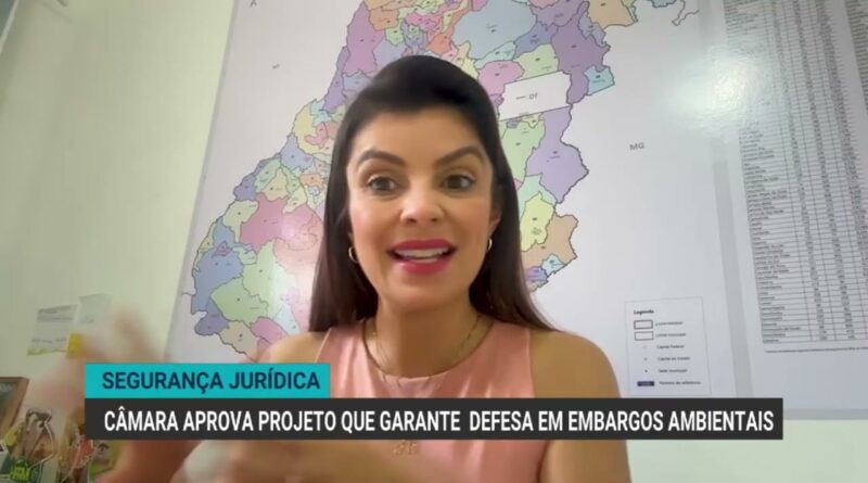 Câmara aprova projeto que garante defesa em embargos ambientais