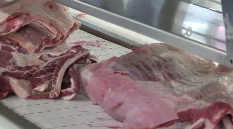 Carcaça bovina atinge maior preço médio histórico em abril, segundo Cepea