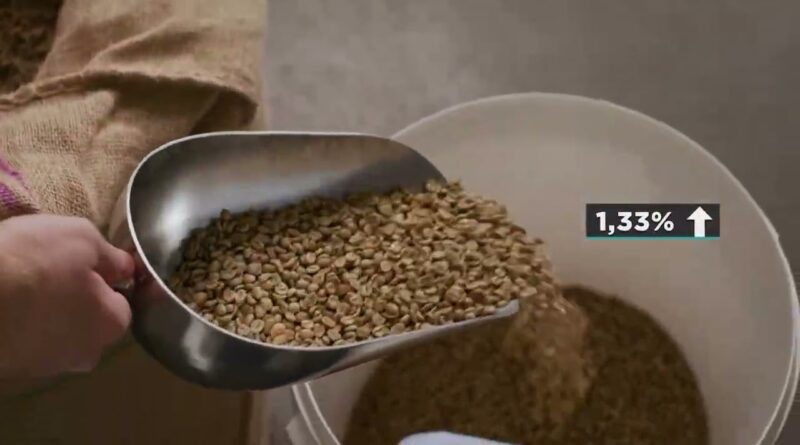 Chuvas atrasam colheita de café e impactam cotações do arábica no Brasil