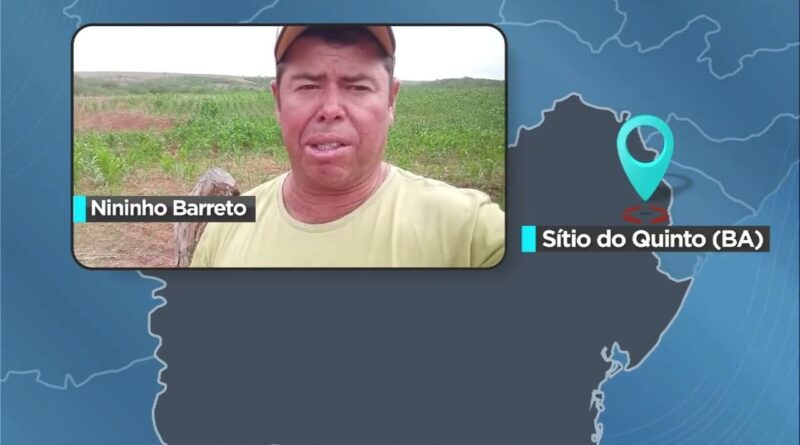 Chuvas em Sítio do Quinto (BA) trazem alívio, mas ainda são insuficientes