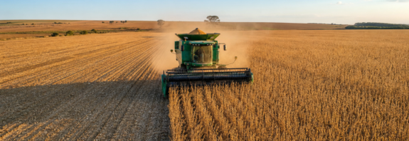 Colheita de soja chega a 99% no Brasil e milho safrinha começa, diz Conab