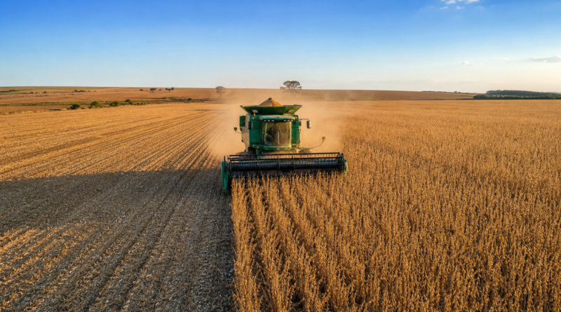 Colheita de soja chega a 99% no Brasil e milho safrinha começa, diz Conab