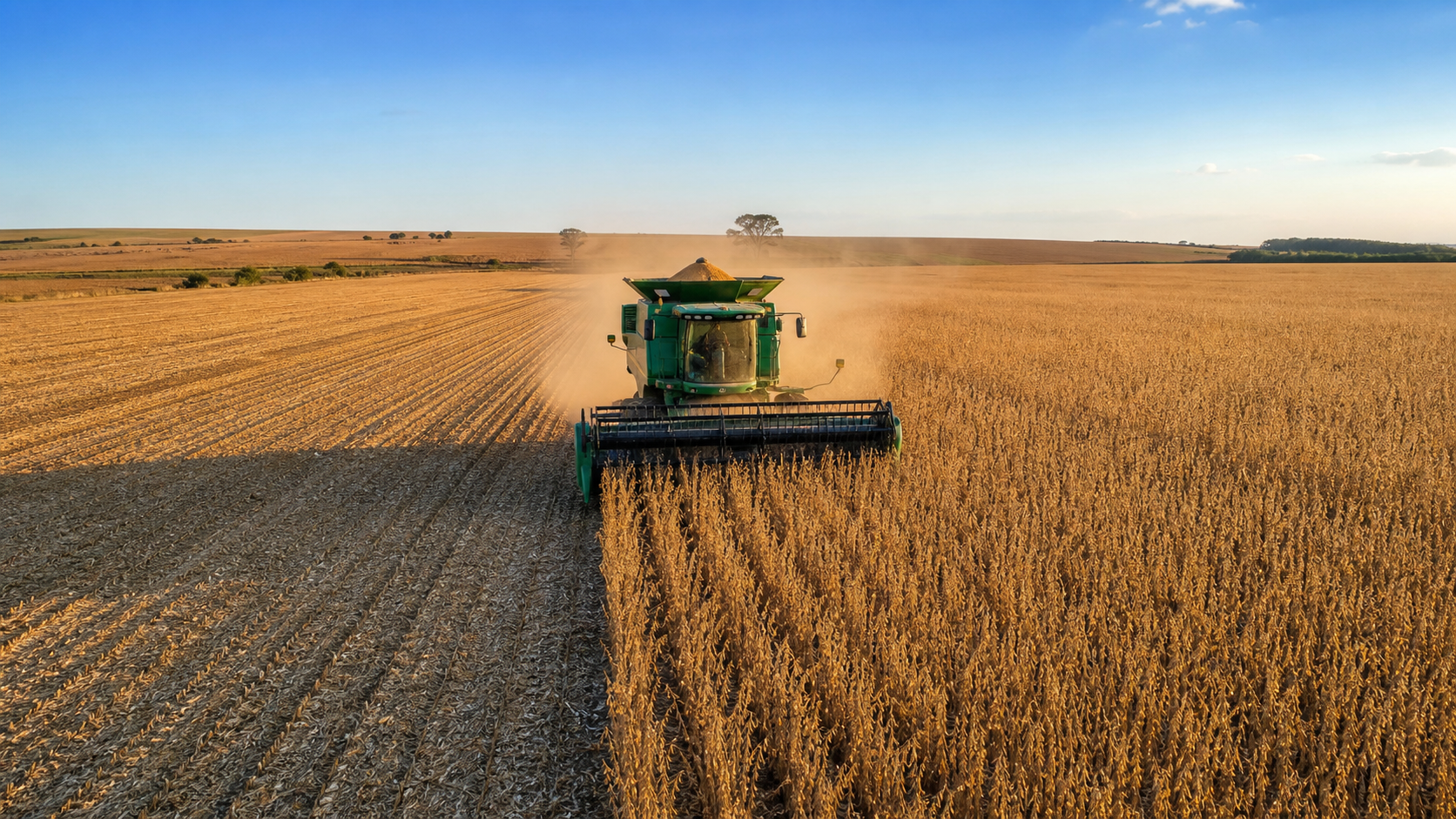 Colheita de soja chega a 99% no Brasil e milho safrinha começa, diz Conab
