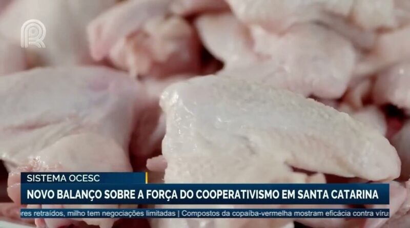 Cooperativismo em Santa Catarina alcança R$ 105 bilhões em 2025