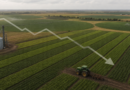 Crédito rural sustentável cai R$ 8,2 bilhões até março da safra 2025/26